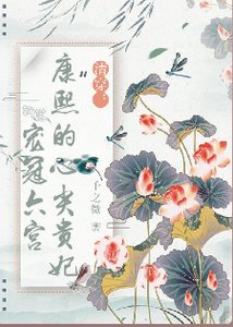 清穿:康熙的心尖贵妃宠冠六宫